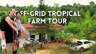 (#3) OFF GRID Permaculture Tropical Farm Tour in VIETNAM 