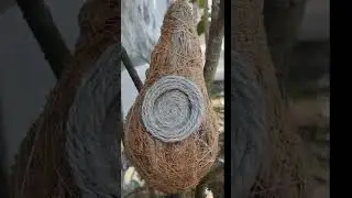 Bird house diy made with husk #birds #birdwatching #handmade #diycrafts