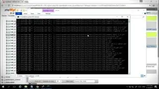How To Setup AQW Private server in a VPS