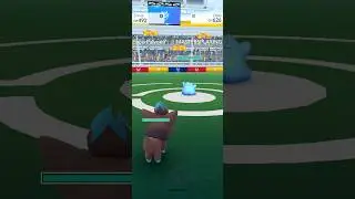 Shiny Zorua vs Shiny Ditto 😮 Pok&eacute;mon go. #pokemongo