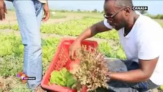 Christian Yumbi Aujourd'huit Chef de cuisin a Kin  Decouvrer  dans son fief de Kinshasa