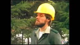 Von B&auml;umen zu Bretter
