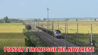 Treni merci Mercitalia e Captrain con carri pianali e tramoggia lungo la pianura Novarese