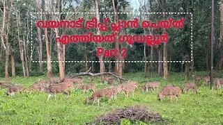 വയനാട് ട്രിപ്പ്‌ പ്ലാൻ ചെയ്ത് എത്തിയത് ഗൂഡല്ലൂർ Part 2 | A wayanad - Gudalur trip | #youtube #viral