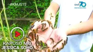 KMJS, Kapuso Mo, Jessica Soho: 