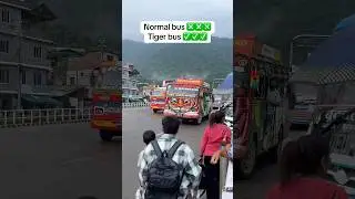 Tiger bus 🚌