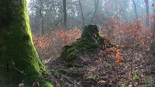 Am Hauenstein bei Krombach (Unterfranken)