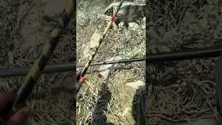 Countryside Fishing Skills  Peaceful Village Life & Outdoor Adventure