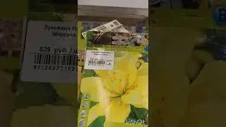 ДАРВИН. Луковицы лилий по акции - 30%.