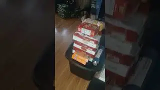 Christmas zoomies