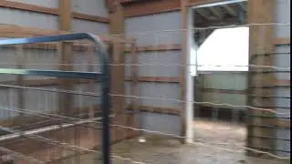 Alpaca Alarm Call