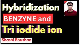 Do You know the Hybridization of BENZYNE and Tri iodide ion?
