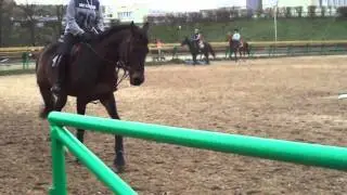 MOV03754
