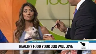 Sharing a spoonful of ice cream between each other and a dog