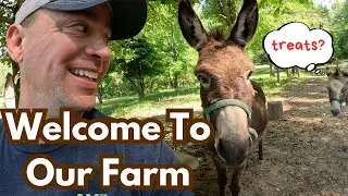 Why We Left the City for Farm Life