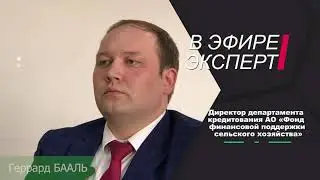 В эфире - эксперт. Как получить кредит в рамках программы &laquo;Еңбек&raquo;
