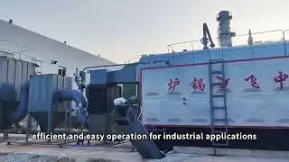 6-Ton Biomass Boiler: Sustainable Steam & Hot Water Solution