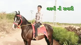 બોવ જાજા દિવસ પછી ઘોડી ની સવારી કરી #horsriding #marvadihorse #vlog