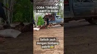 timbang sawit di RAM jauh beda sama timbang pabrik#viralshorts