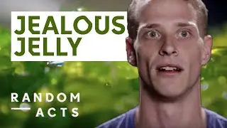 A Second Lesson in Jelly | Jealousy by Sam Bompas and Harry Parr | Short Film | Random Acts
