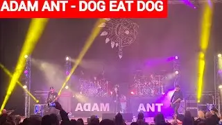 ADAM ANT 