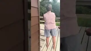 Grandma Laughs at Aggressive Bear Guarding Cubs in Pennsylvania Backyard