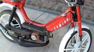 Honda Camino Polini 65 , HPI, Dellorto 17.5