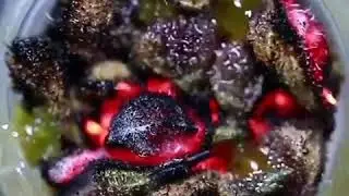 Melt Shot
