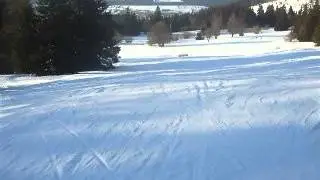 DSCF1399