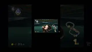 Nani plays Mario Kart Wii❤️💙 #meme #dog #cute #funny #shorts #animals #racing