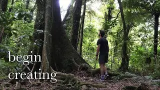 Climbing Otanewainuku | New Zealand Plants and Wildlife!