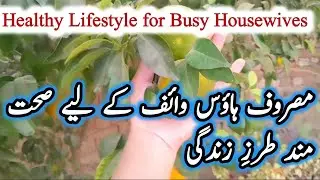 How Housewife Can Learn Online Skills from Mobile