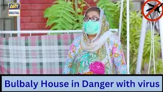 Bulbulay Season 2 |Momo house in danger with virus😱🏠
