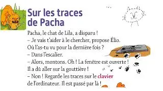 Lecture tout terrain CP : 46 Sur les traces de Pacha