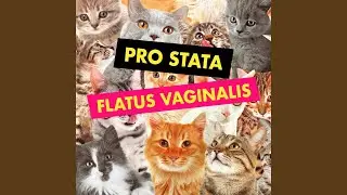 FLATUS VAGINALIS
