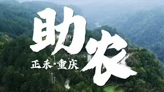 蜂蜜的前世今生｜正禾助农项目实录·重庆站