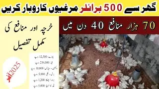 Broiler Farming Feasibility Reports 2025 | Broiler Farm Ka kam kese Shuru Karen