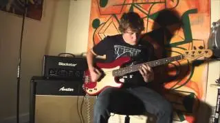 Seymour Duncan Basslines Pickups