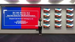 Cedar Electronics_P0.7～P3.3 flip chip COB display, further details plz contact sales@cedarled.com