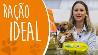 Qual ra&ccedil;&atilde;o devo dar para o meu cachorro!? [Ju Almeida Pet]