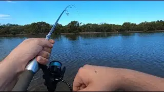 CATCHING topwater whiting in SHALLOW water!