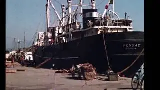 Port Antibes 1956