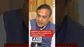 &lsquo;Questions Must Be Answered&rsquo;: Assam CM Himanta Sarma&rsquo;s &lsquo;Pak Links&rsquo; Charge At Gaurav Gogoi