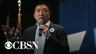 Andrew Yang unveils $4.87 trillion policy to address climate change