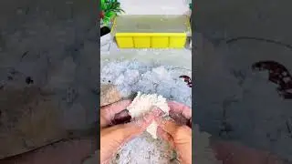 Resep cireng kribo anti gagal