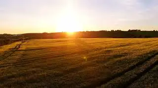 Sunset Over Golden Field with Rolling Hills in Background Video | WaveBreak Media