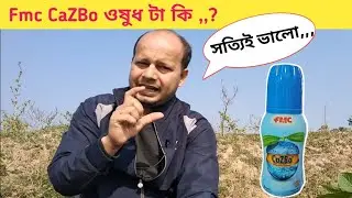 Fmc CaZBo একটি অদ্ভুত প্রোডাক্ট || সম্পূর্ণ তথ্য,,,,,