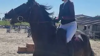 EBZ CSO BATZENDORF MAI 2024(4)