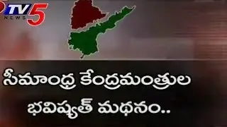 Seemandhra Ministers Plan To Report On Gom -  TV5