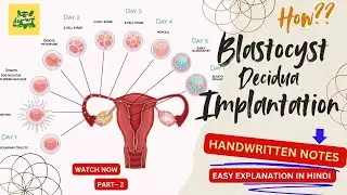 Blastocyst formation, implantation and decidua |easy explanation |IN HINDI| GYNAECOLOGY| D.C. DUTTA